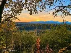 10086 S Cache Creek Drive, Trapper Creek, AK 99683 - Image #3