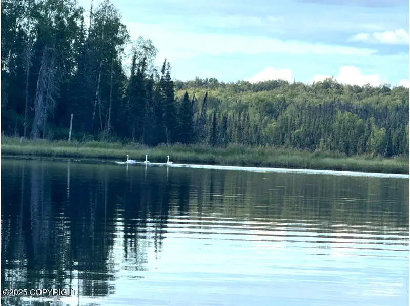 Tr A-B Bee Jay Lake, Matanuska Susitna, AK 99688 - Image #2