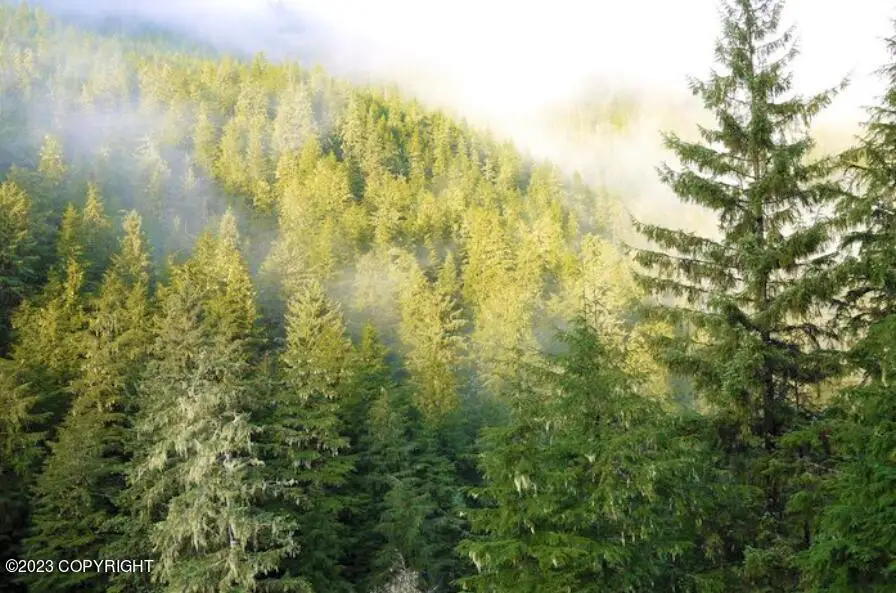 Nhn Ferebee River, Haines, AK 99827 - Image #3