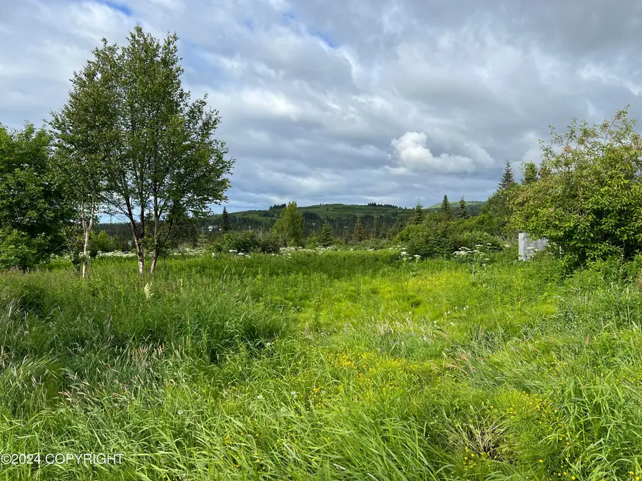 64985 Nikolaevsk Road, Nikolaevsk, AK 99556 - Image #2