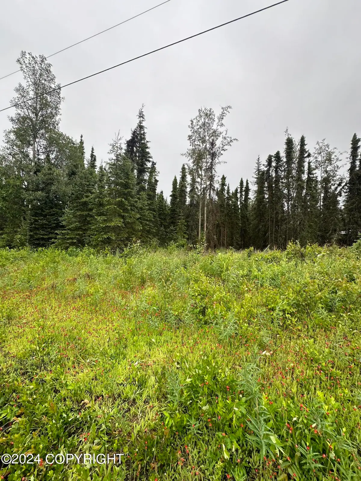 4406 N Dogwood Road, Kenai, AK 99611 - Image #1