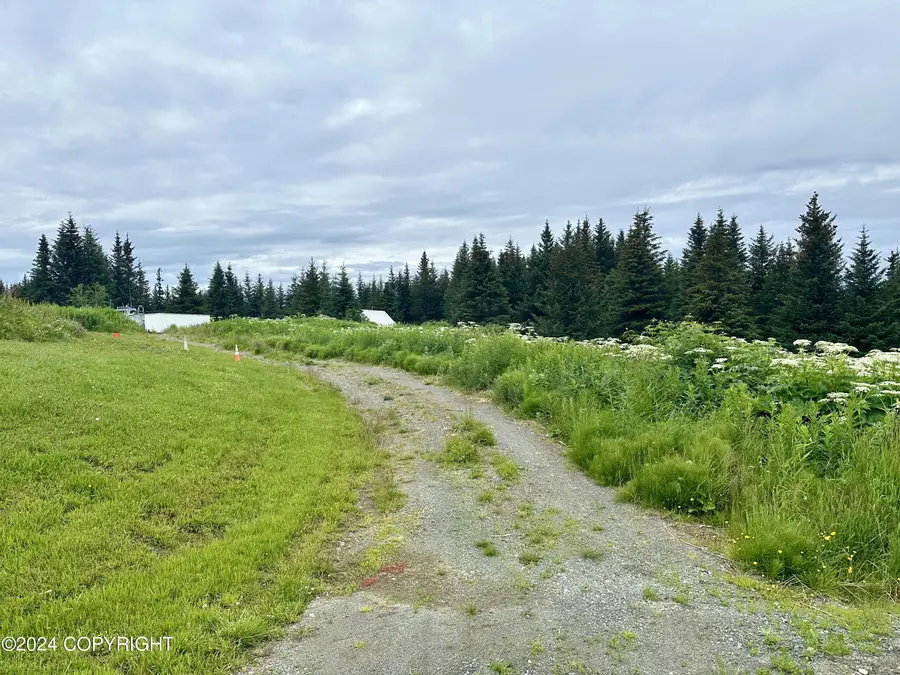 64675 Leandra Road, Homer, AK 99603 - Image #2