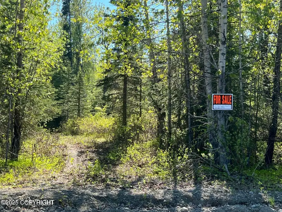 50955 Vandevere Drive, Nikiski, AK 99611 - #2