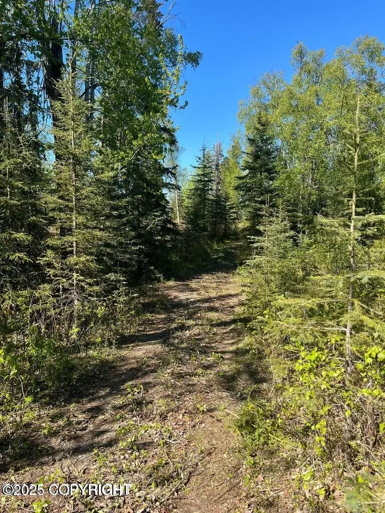 50955 Vandevere Drive, Nikiski, AK 99611 - #3