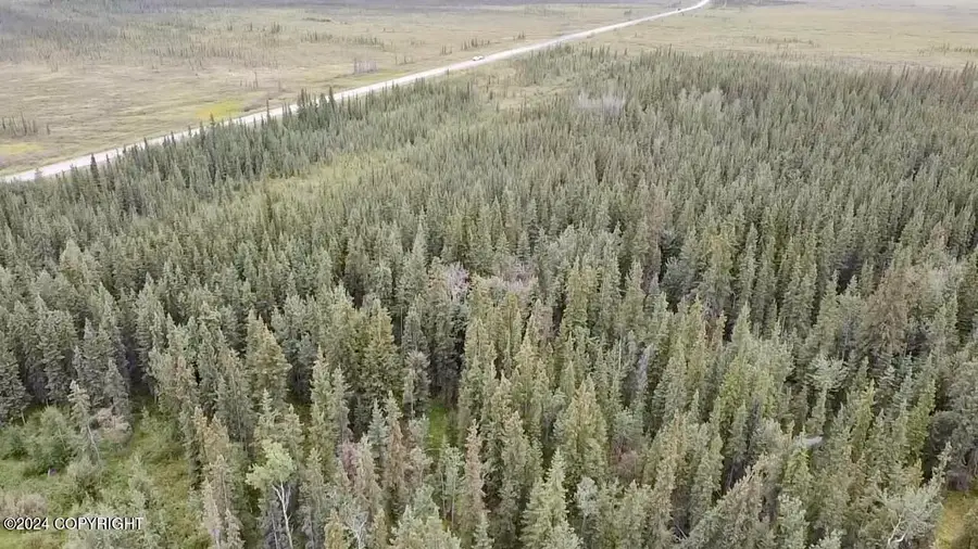 1327.6 B3 Alaska Highway, Tok, AK 99780 - Image #2