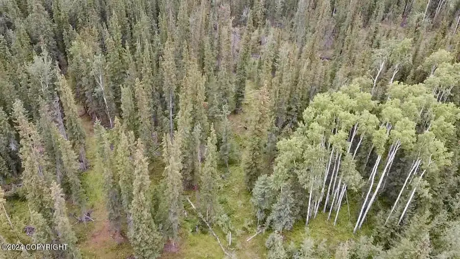 1327.6 B3 Alaska Highway, Tok, AK 99780 - Image #3