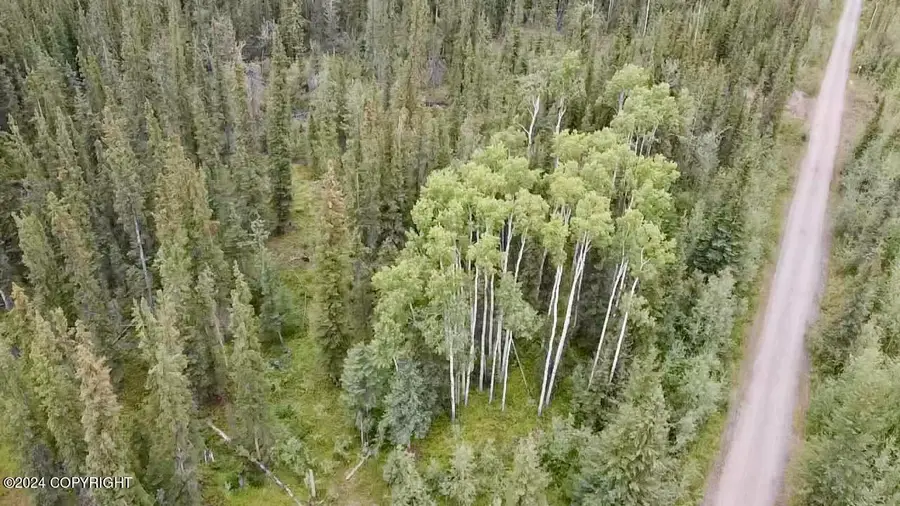 1327.6 B4 Alaska Highway, Tok, AK 99780 - Image #3