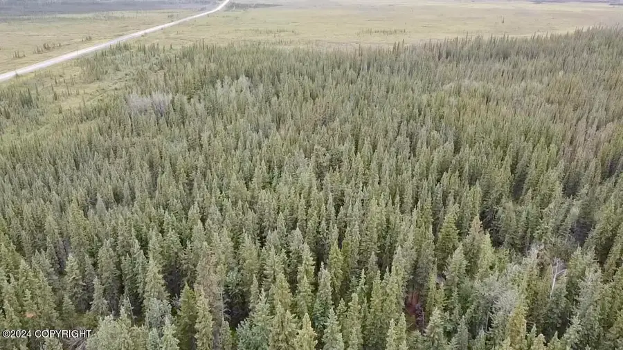 1327.6 B5 Alaska Highway, Tok, AK 99780 - Image #2