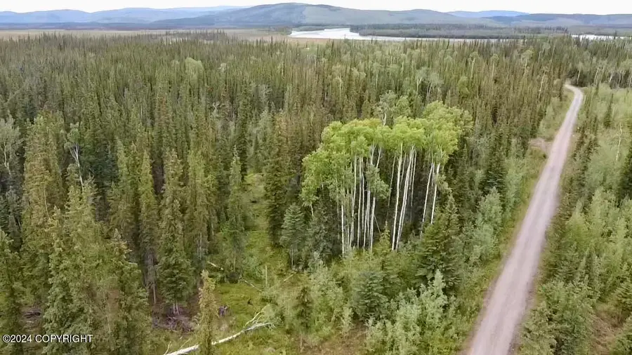 1327.6 B5 Alaska Highway, Tok, AK 99780 - Image #3