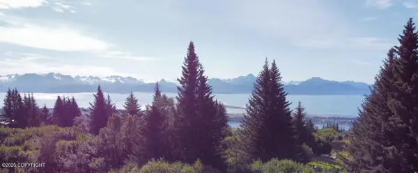 580 Fireweed Avenue, Homer, AK 99603