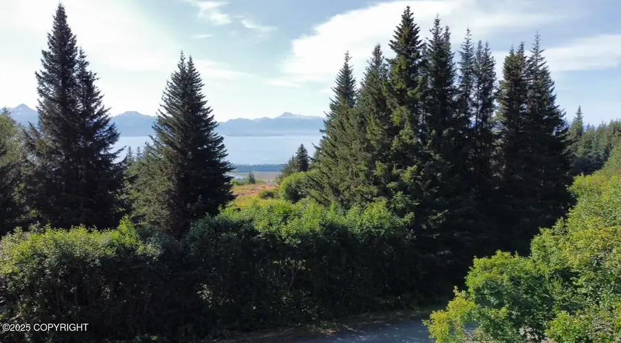 580 Fireweed Avenue, Homer, AK 99603 - Image #3
