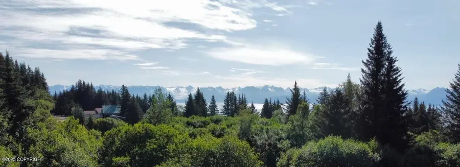 560 Fireweed Avenue, Homer, AK 99603 - Image #2