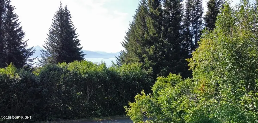 560 Fireweed Avenue, Homer, AK 99603 - Image #3