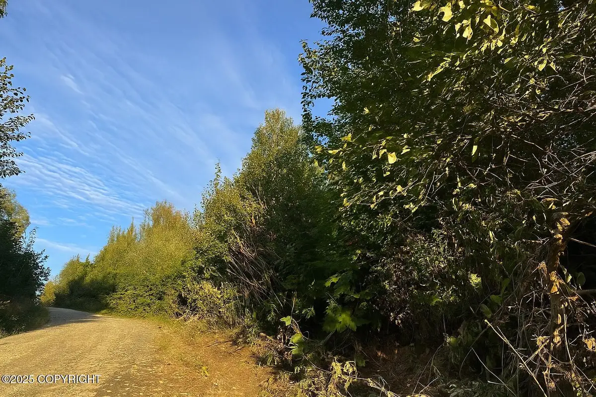 20528 E Rodnreel Avenue, Willow, AK 99688 - Image #1