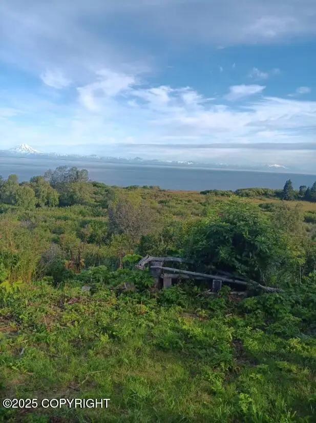 11949 Sterling Highway, Ninilchik, AK 99639 - Image #1