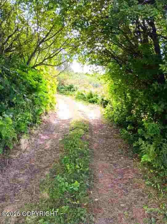 11949 Sterling Highway, Ninilchik, AK 99639 - Image #3