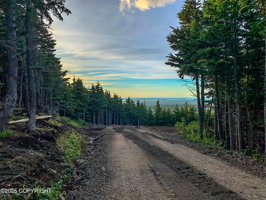 L1 Paine Circle, Anchorage, AK 99516 - Image #2