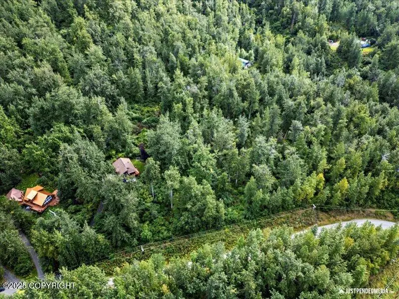 L25 B1 Mount Yukla Circle, Eagle River, AK 99577 - Image #3