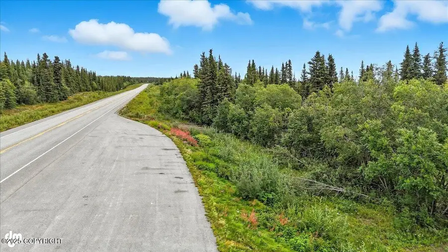 L8 Smokey Hills Subdivision, Glennallen, AK 99588 - Image #3