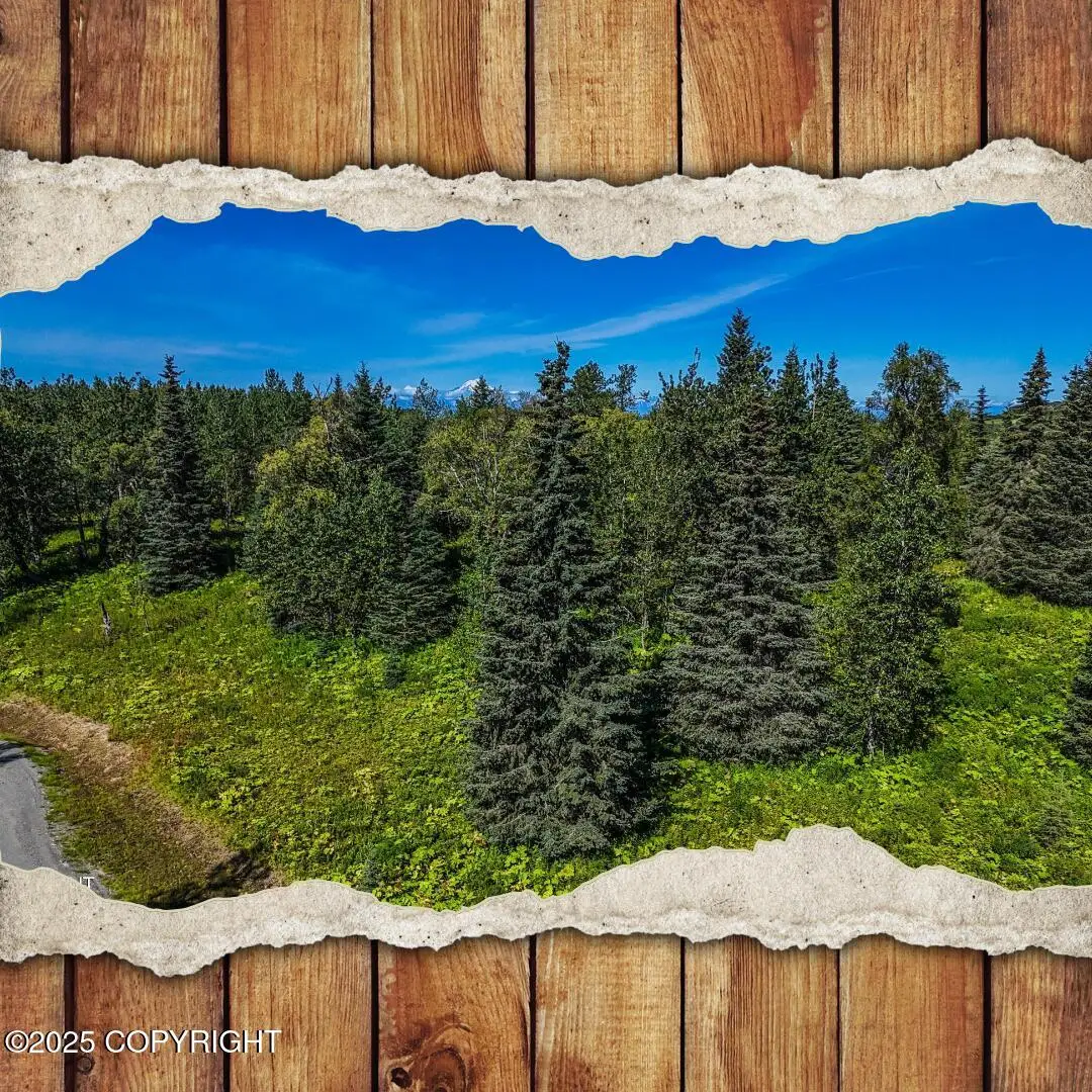 15422 Tovarish Road, Ninilchik, AK 99639 - Image #1