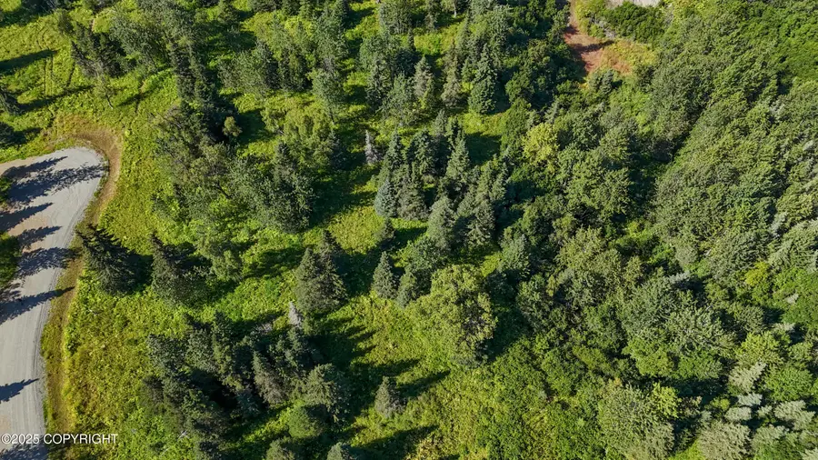 15422 Tovarish Road, Ninilchik, AK 99639 - Image #3