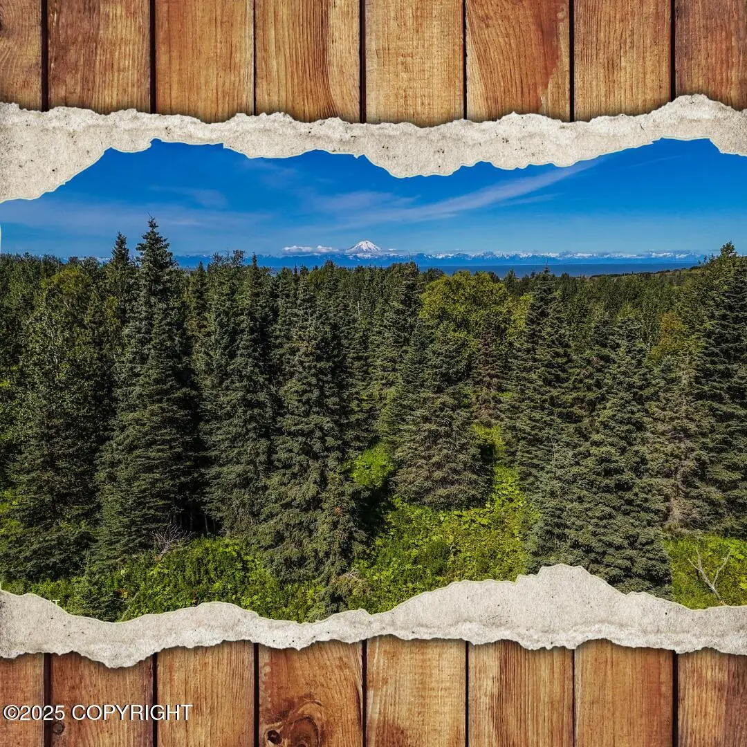 15466 Tovarish Road, Ninilchik, AK 99639 - Image #1