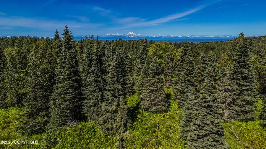 15466 Tovarish Road, Ninilchik, AK 99639 - Image #2