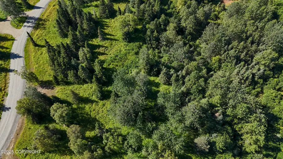 15466 Tovarish Road, Ninilchik, AK 99639 - Image #3