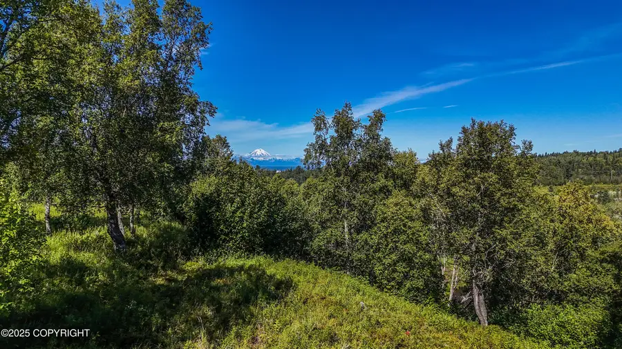 15522 Tovarish Road, Ninilchik, AK 99639 - Image #2