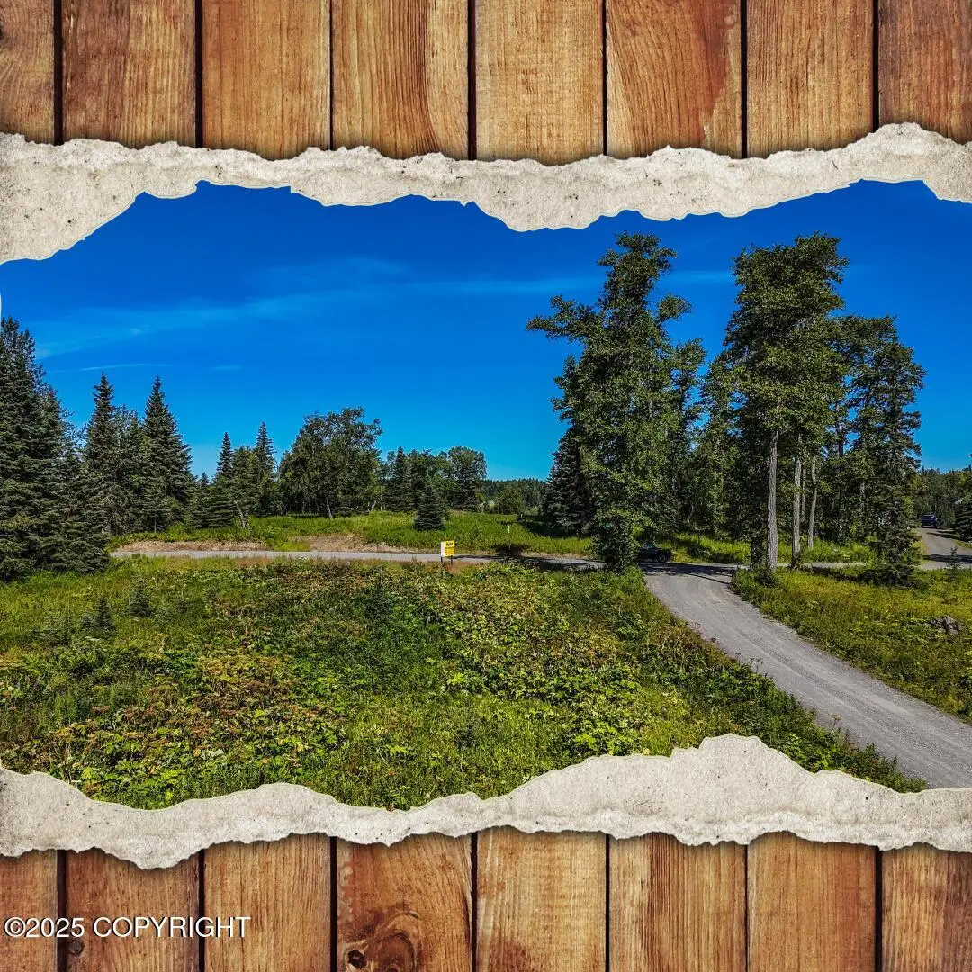 15515 Tovarish Road, Ninilchik, AK 99639 - Image #1