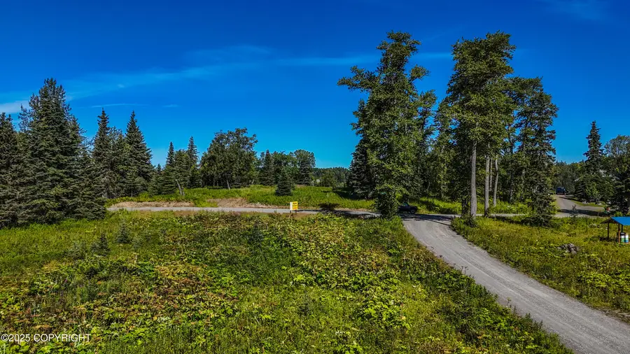 15515 Tovarish Road, Ninilchik, AK 99639 - Image #3