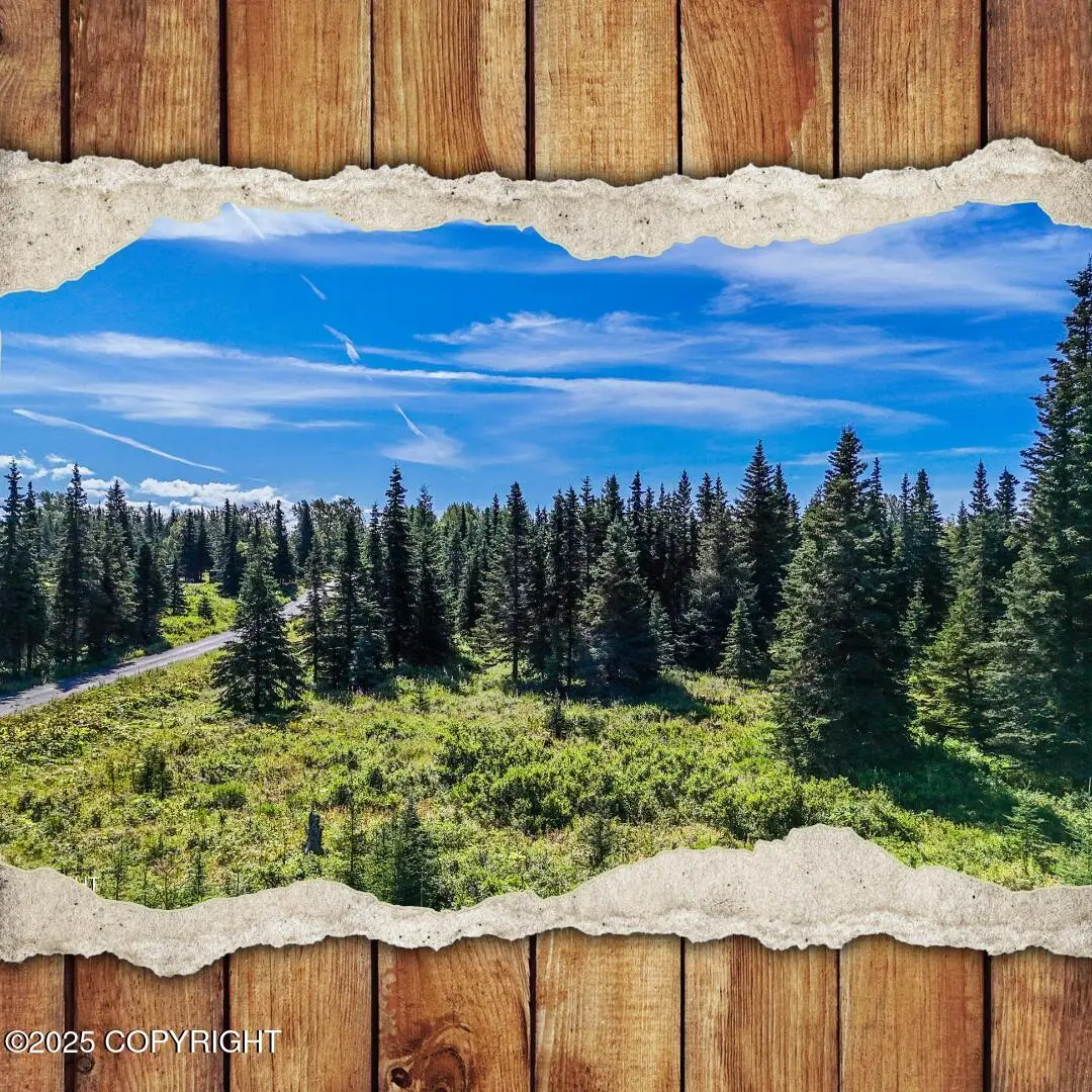 15737 Cecelia Street, Ninilchik, AK 99639 - Image #1