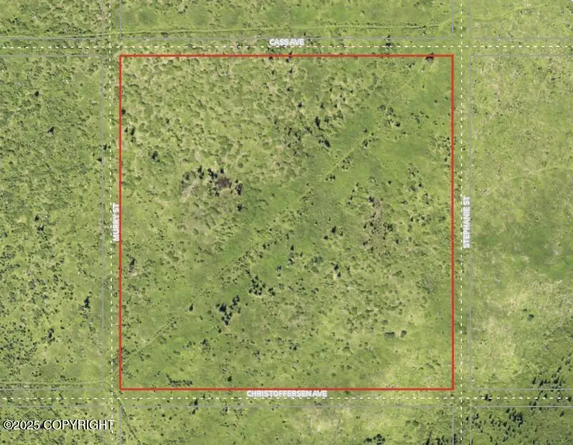 54490 Christofferson Avenue, Ninilchik, AK 99639 - Image #2