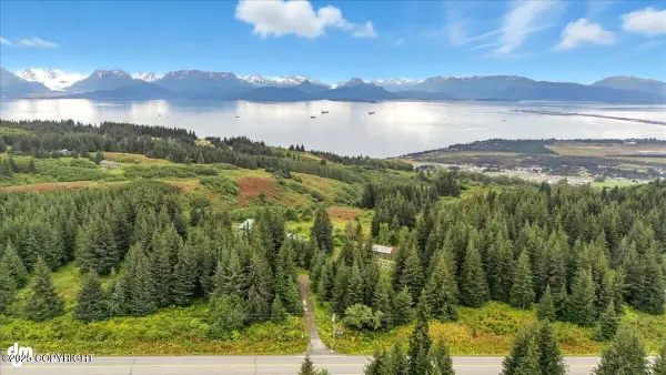 62479 Skyline Drive, Homer, AK 99603