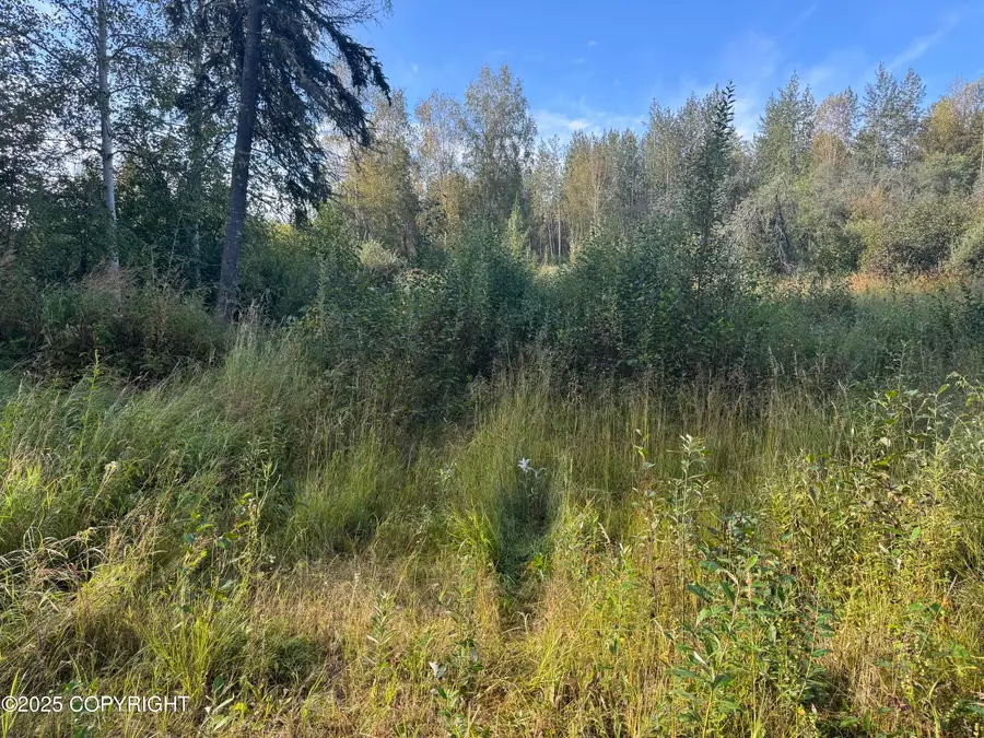 795 Spudwood Road, Fairbanks, AK 99712 - Image #2