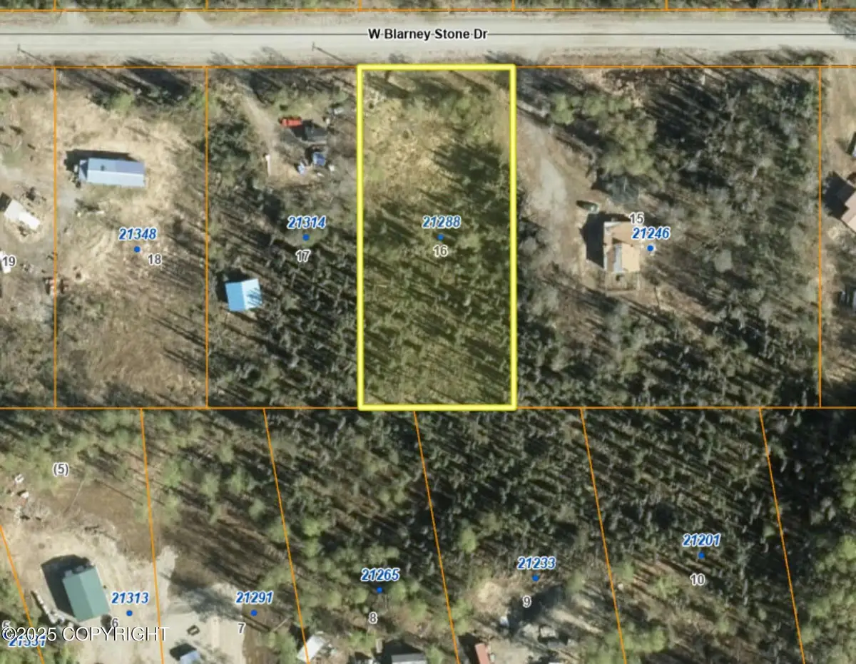 21288 W Blarney Stone Drive, Big Lake, AK 99652 - Image #1