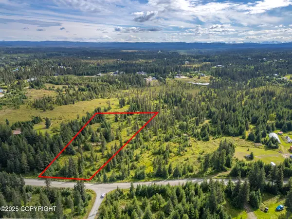 35144 Danver Street, Anchor Point, AK 99556