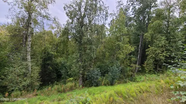 4248 W Little Rain Road, Wasilla, AK 99623