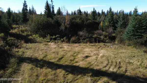 31511 Kalugin Place, Nikolaevsk, AK 99556