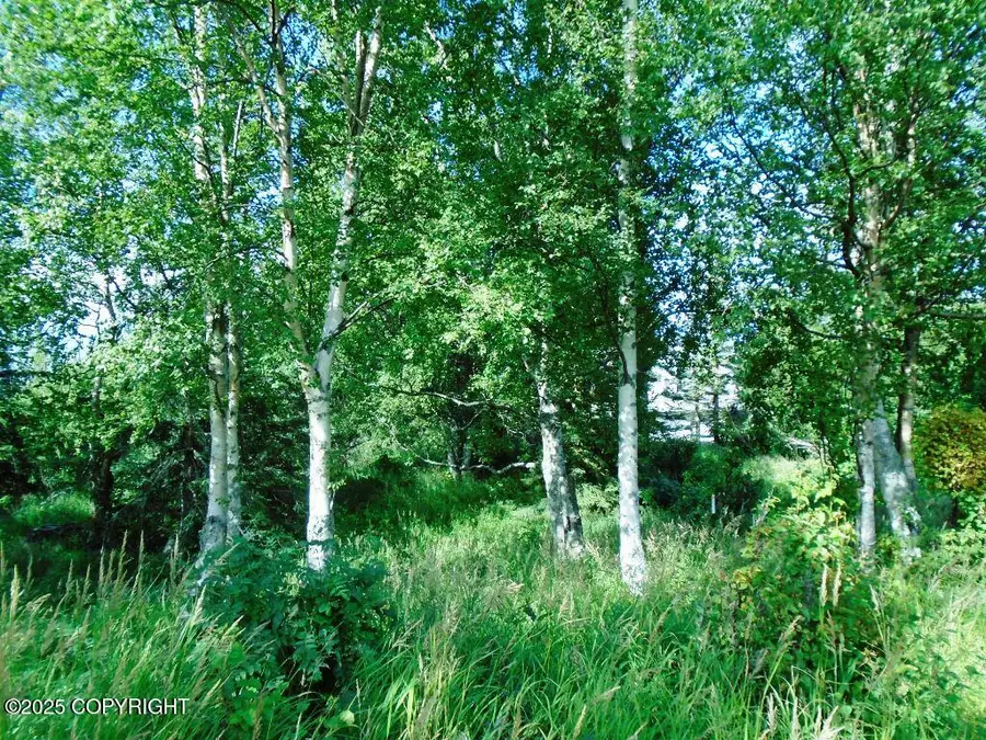 Lot 2 Greece Drive, Anchorage, AK 99516 - Image #3