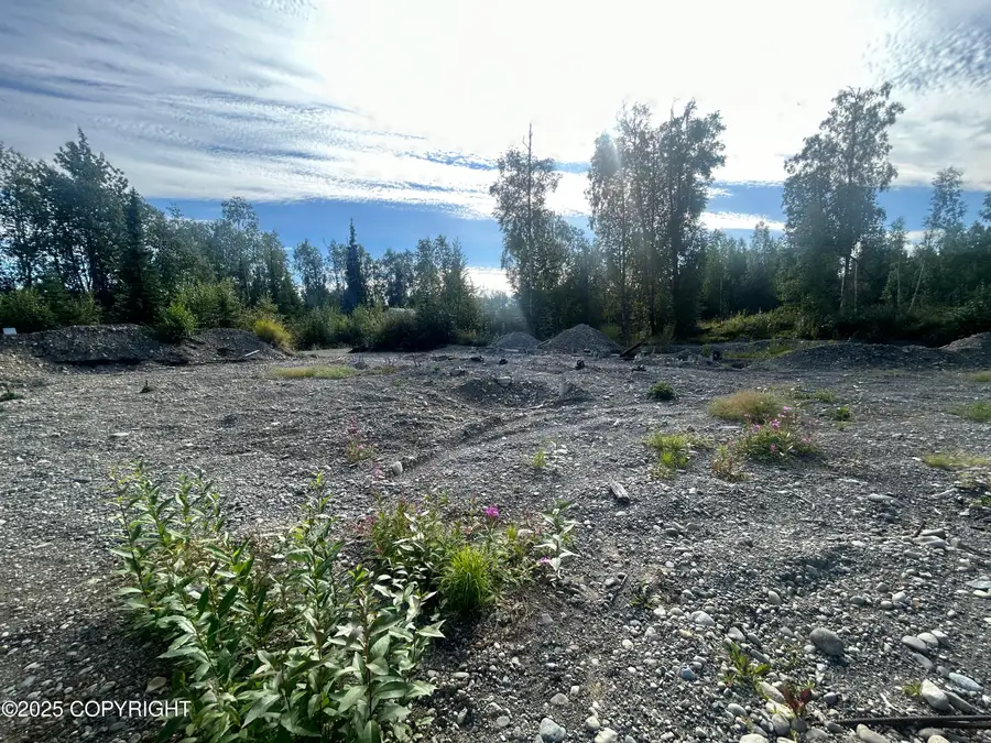 21069 W Matsnu Road, Big Lake, AK 99652 - Image #3