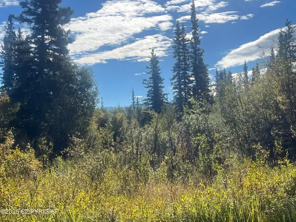 L 7&8 B9 Kenny Lake Village, Chitina, AK 99573