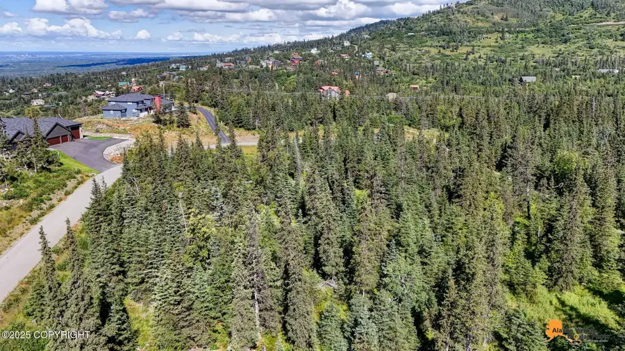 0000 Potter Highlands Drive, Anchorage, AK 99516 - #2