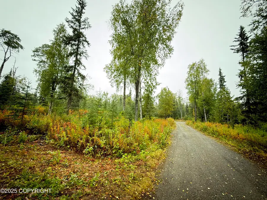 50585 Newberry Avenue, Nikiski, AK 99611 - Image #3