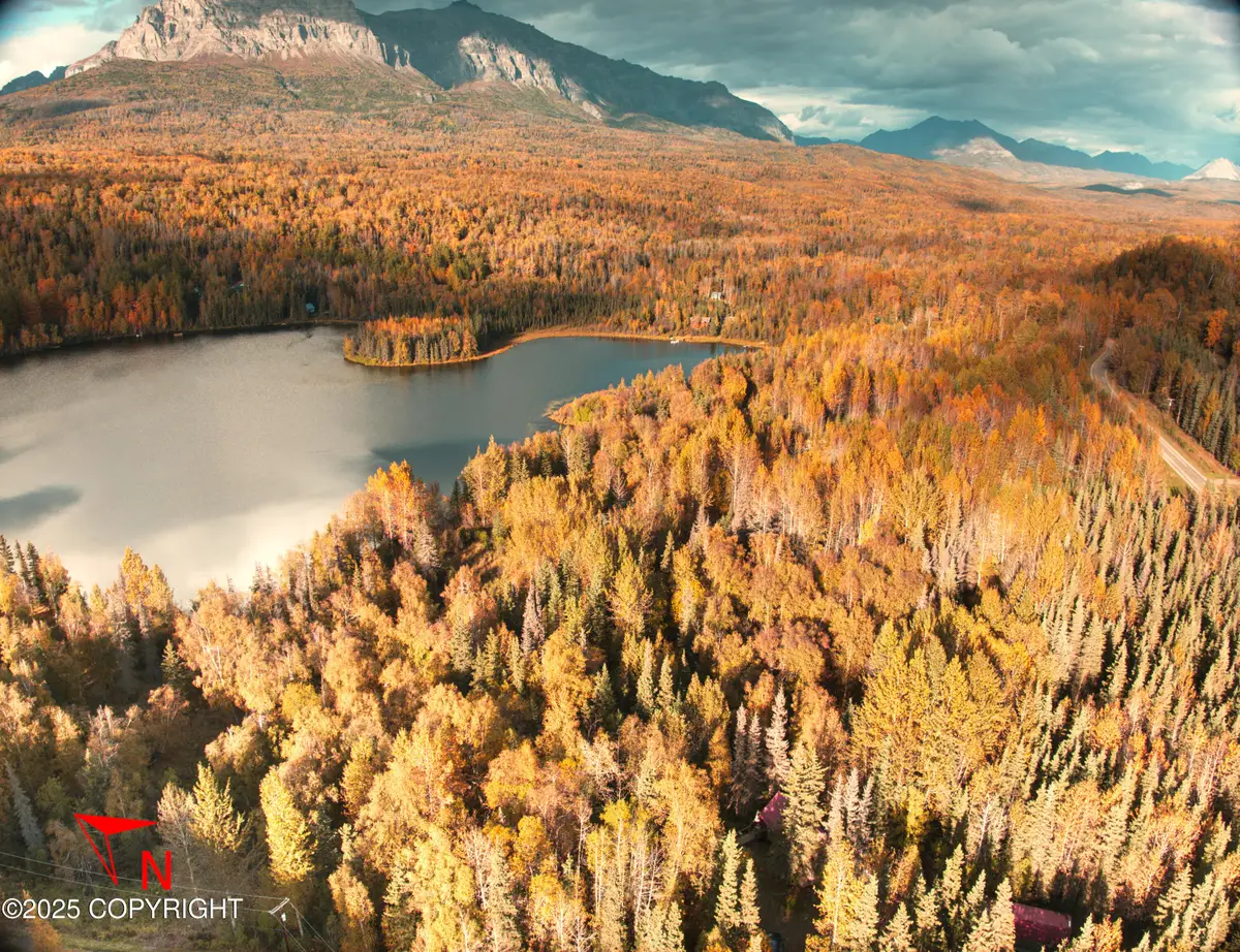 17261 N Rock Rose Lane, Chickaloon, AK 99674 - Image #1