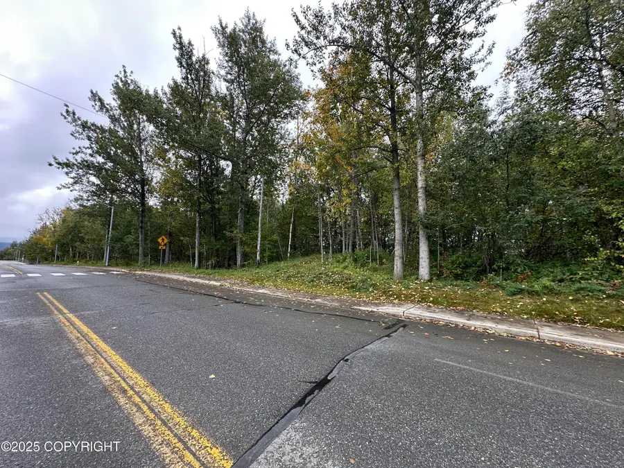 L C021 S Valley Way, Palmer, AK 99645 - Image #2