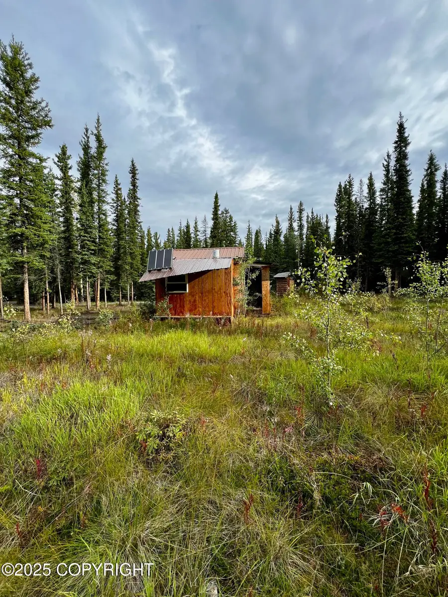 L13 Frostwoods Street, Tok, AK 99780 - Image #3