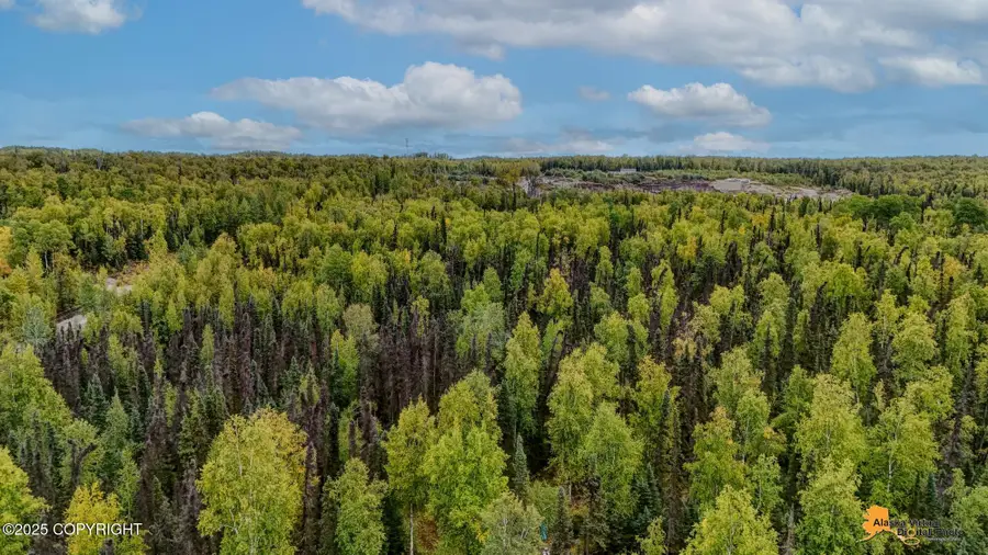 6092 S Purinton Parkway, Big Lake, AK 99652 - Image #2