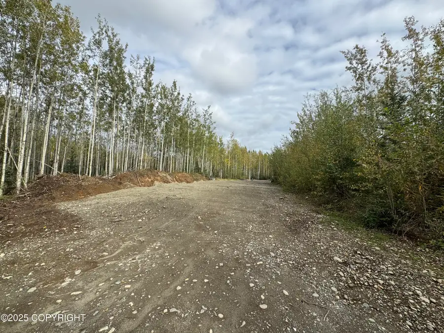 2611 S Walnut Wood Drive, Big Lake, AK 99652 - Image #2