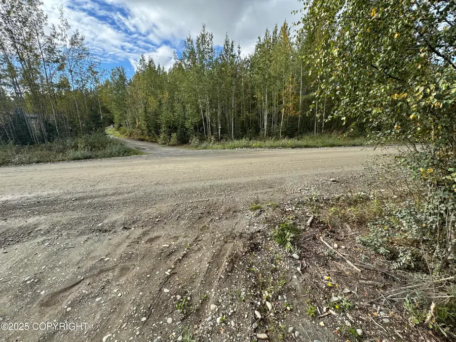 2611 S Walnut Wood Drive, Big Lake, AK 99652 - Image #3